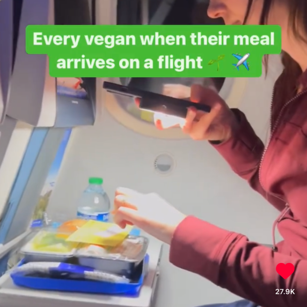Vegan on a flight